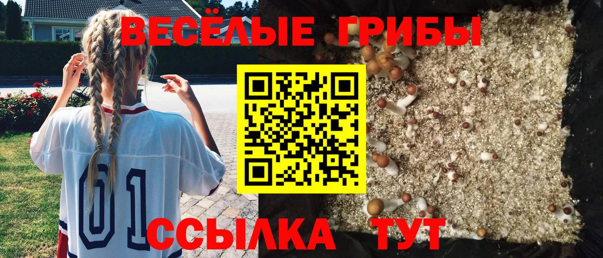Псилоцибиновые грибы GOLDEN TEACHER Одинцово