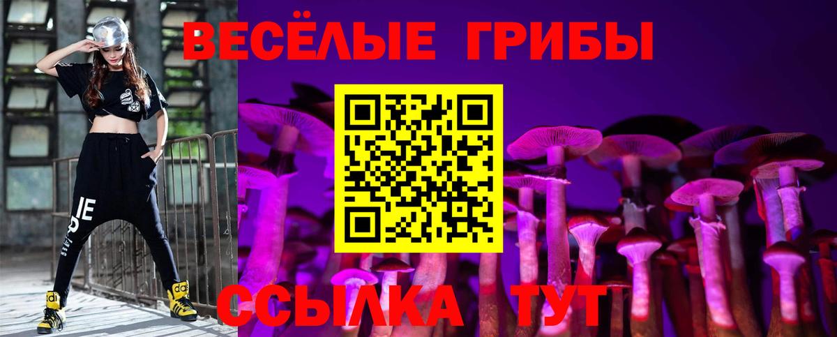продажа наркотиков  Псилоцибиновые грибы мухоморы  Вход с VPN  Одинцово 